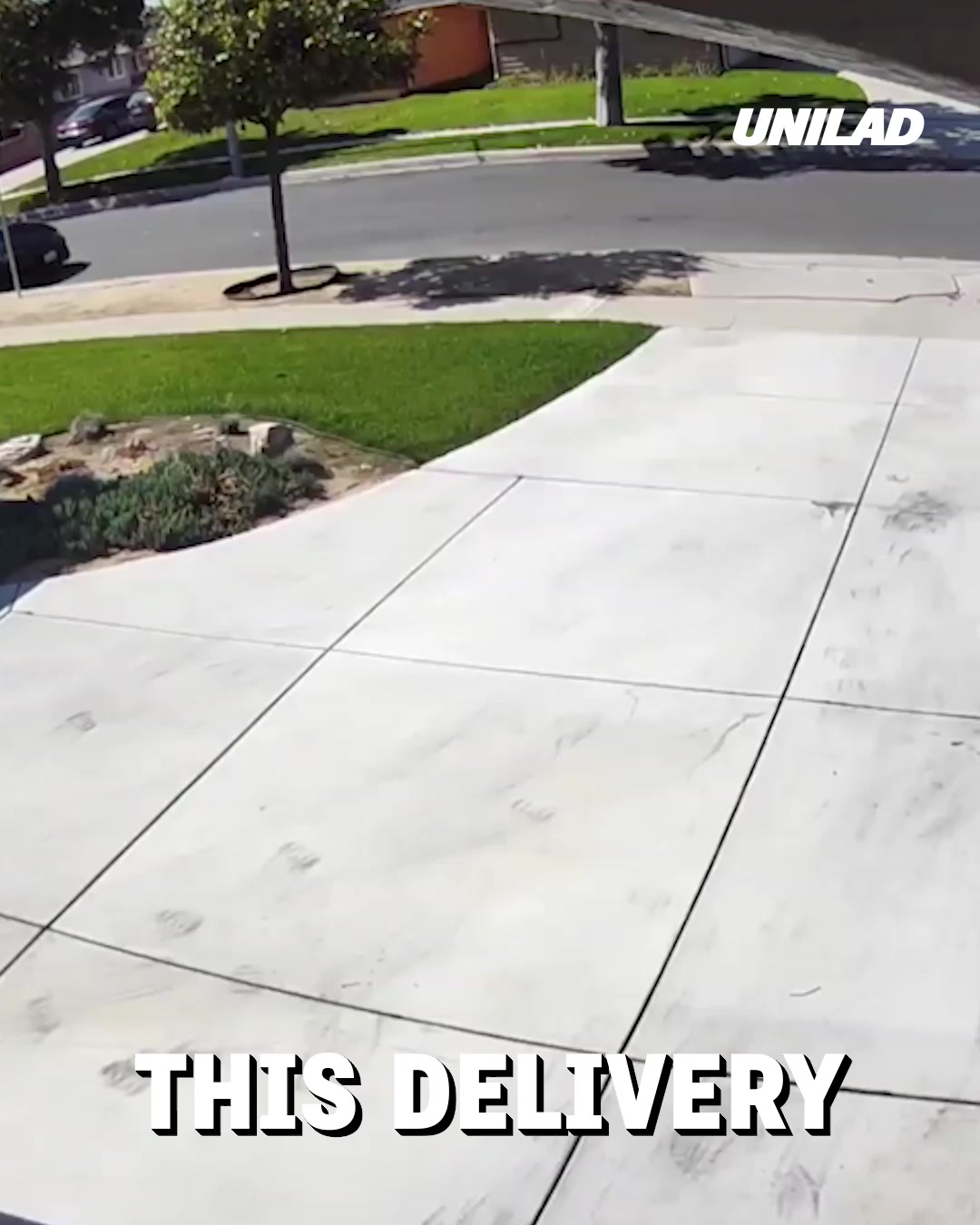 LADbible Video hub Delivery driver goes for a swim