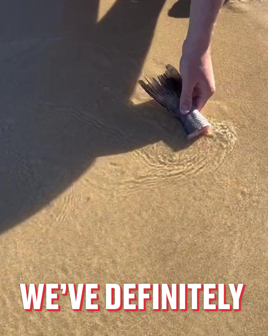 LADbible Video hub Pulling beach worms from sand