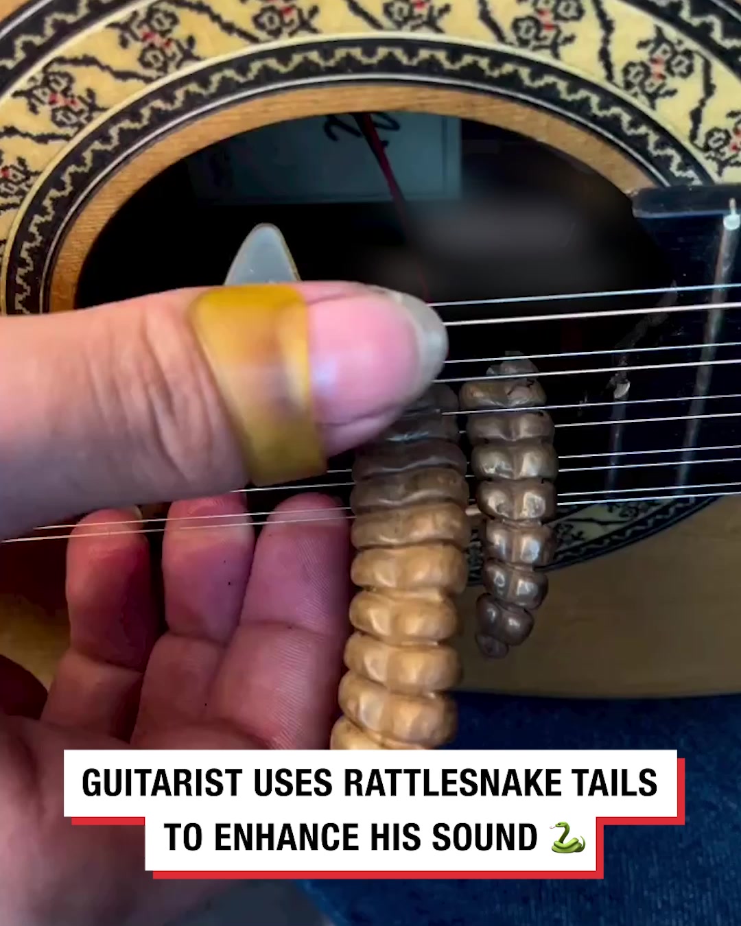 LADbible Video hub Guitarist uses rattlesnake tails to enhance his sound