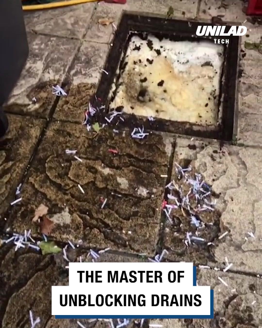 LADbible Video hub Best drain guy online