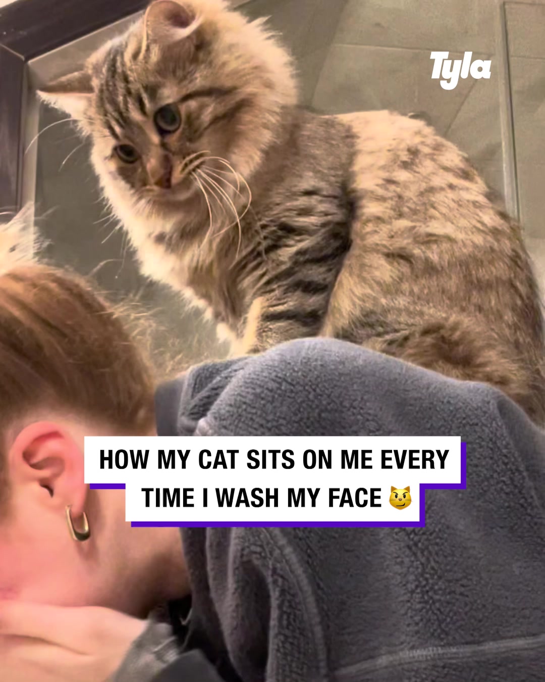 LADbible Video hub My cat sits on my back when I wash my face