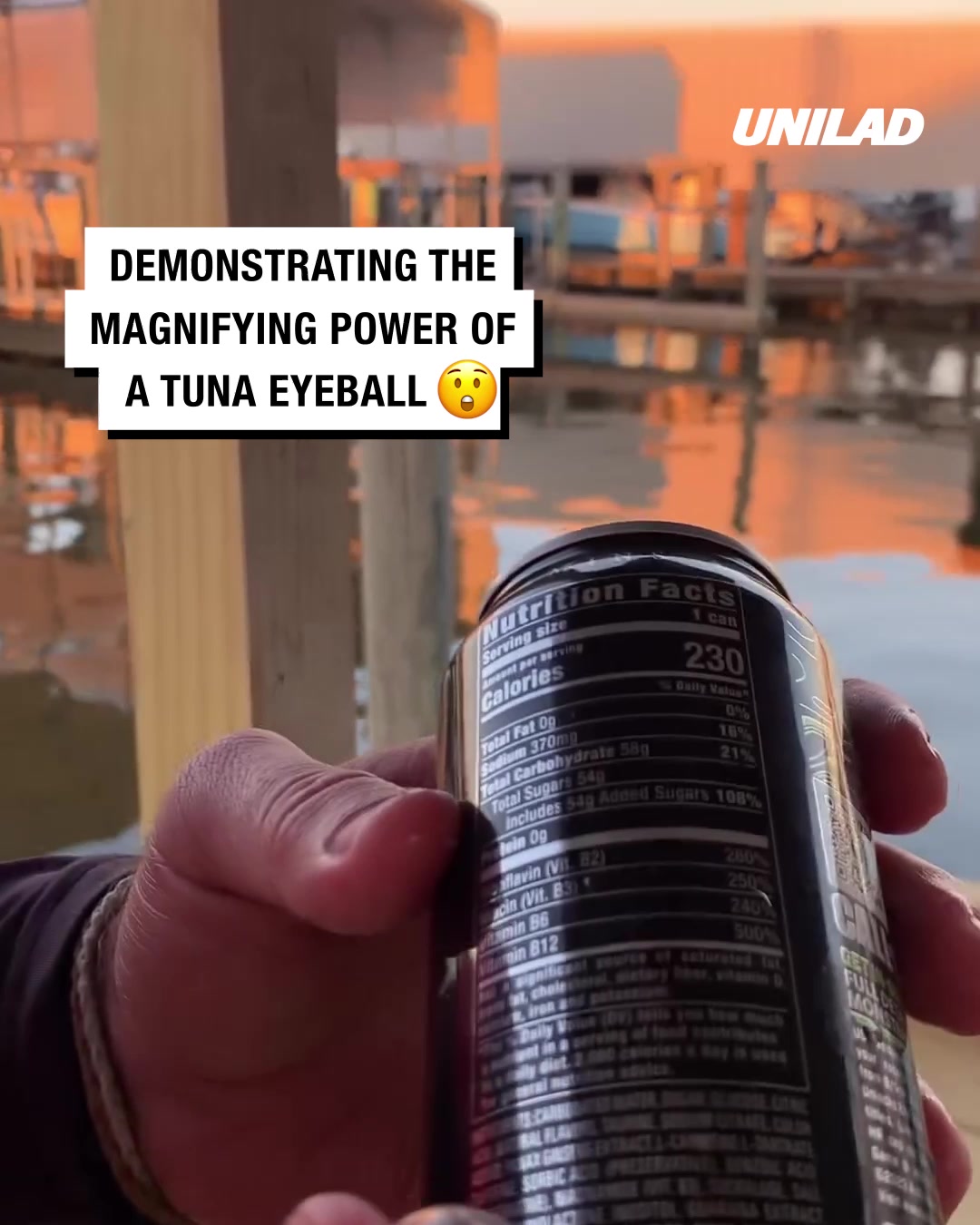 LADbible Video hub Demonstrating the 20x optical zoom of a tuna eyeball