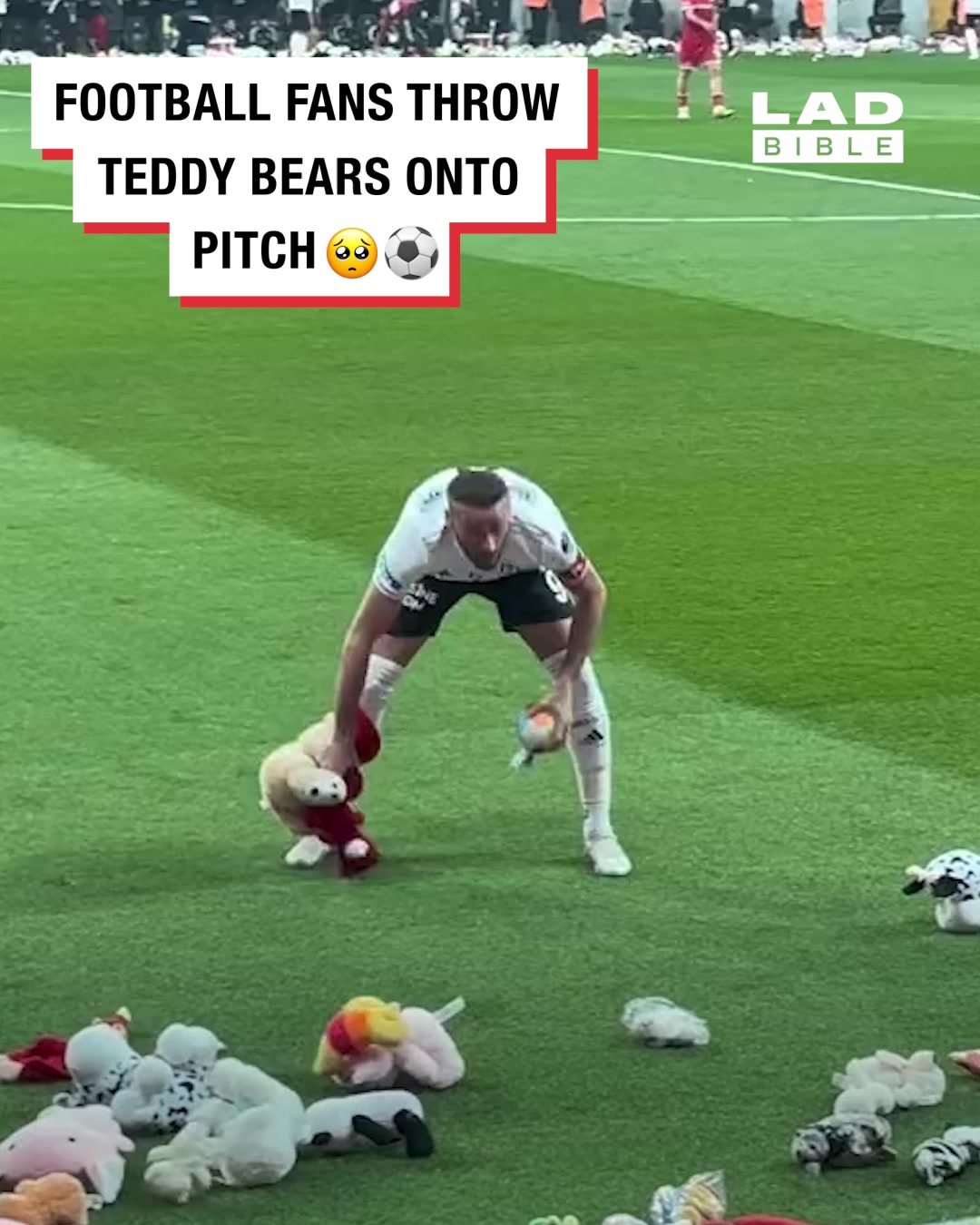 LADbible Video hub Fans throw teddy bears onto football pitch 🥺